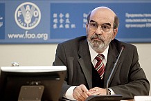 FAO: coup d'envoi de l'Année internationale de l'agriculture familiale 2014.